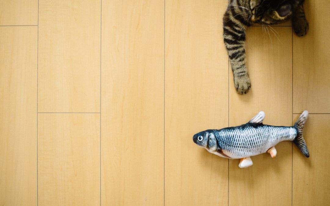 Purrfect Playtime: A Guide to the Best Toys for Your Cat