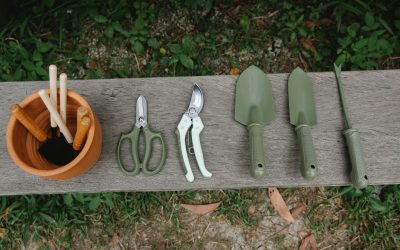 Essential Garden Tools for Beginners