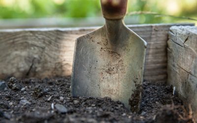 Tips for Keeping Your Soil Healthy and Productive